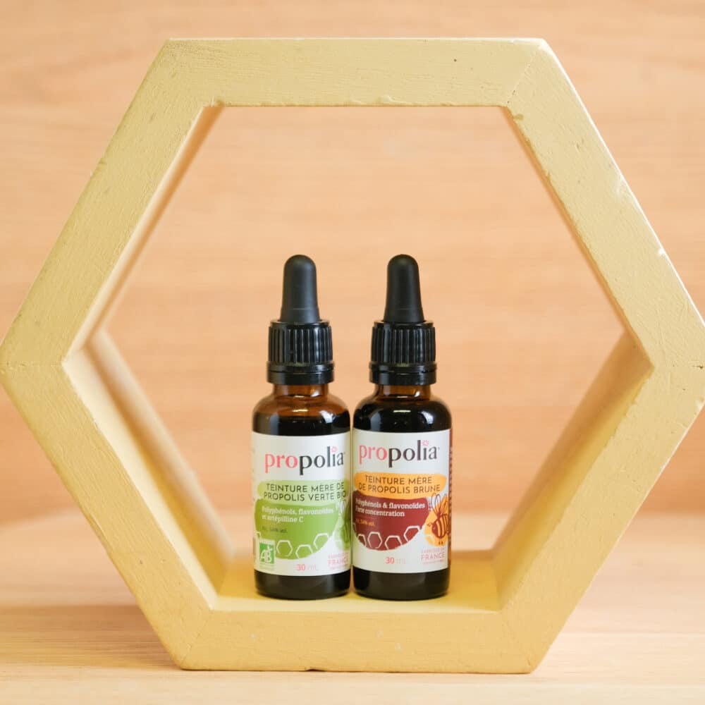 Teinture mère de propolis